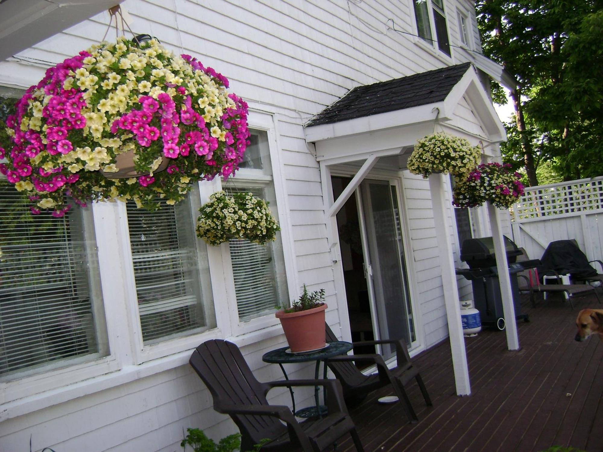 Lakelawn B&B And Motel Yarmouth Ngoại thất bức ảnh